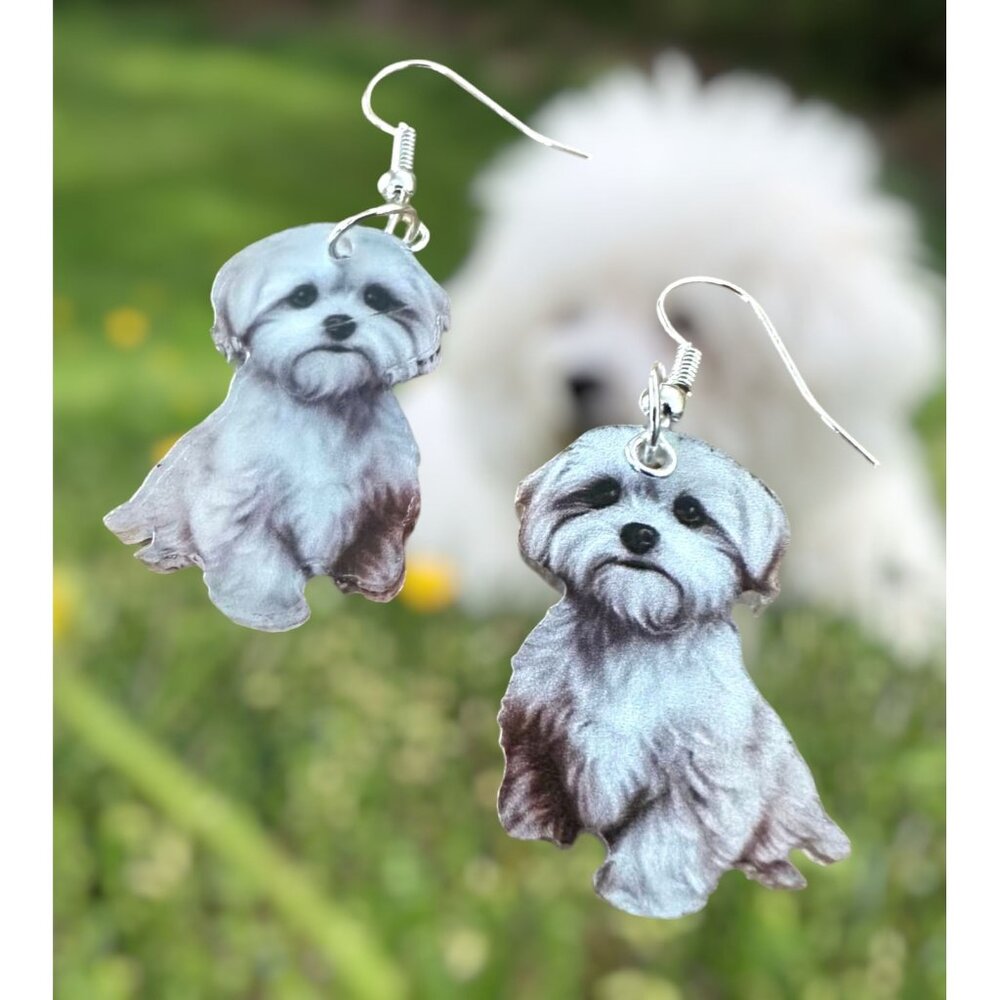 Bichon Frise Earrings New Dangle Hooks Double Sided Fluffy White Teddy B…